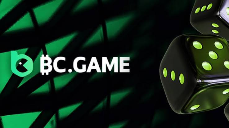 Understanding BC.Game Payments A Comprehensive Guide 801043849