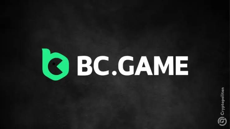 Understanding Payment Methods at BC.Game in India 853181099 Understanding Payment Methods at BC.Game in India 853181099